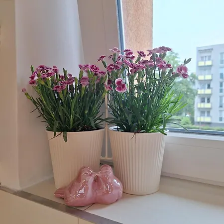 Appartement Green Irene